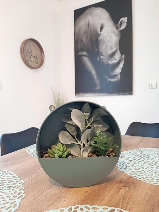 Proche Aeroport A Pied O' Jungle Apartman Tillé Kültér fotó
