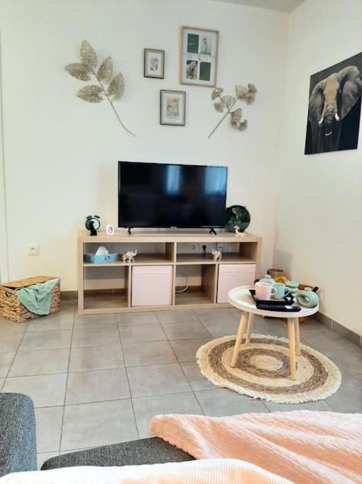 Proche Aeroport A Pied O' Jungle Apartman Tillé Kültér fotó