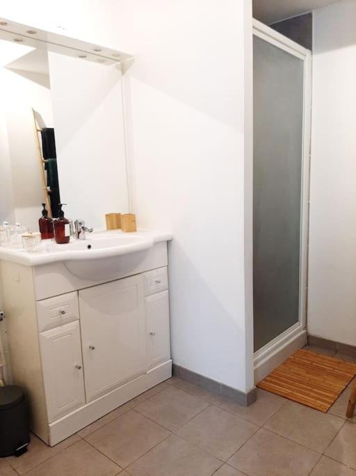 Proche Aeroport A Pied O' Jungle Apartman Tillé Kültér fotó